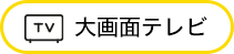大画面テレビ
